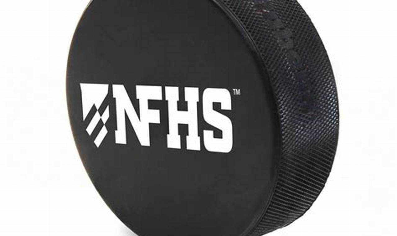 Best Cases for Hockey Pucks: Protect Your Game! | Your Ultimate Source for Hockey Updates, Training Guides, and Equipment Recommendations