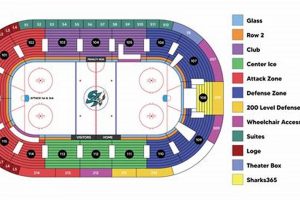 Guide to Section 5 Ice Hockey: Teams, Scores & More! | Your Ultimate Source for Hockey Updates, Training Guides, and Equipment Recommendations
