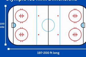 Olympic Hockey Rink Dimensions: Size & Impact Guide Your Ultimate Source for Hockey Updates, Training Guides, and Equipment Recommendations Olympic Hockey Rink Dimensions: Size & Impact Guide | Your Ultimate Source for Hockey Updates, Training Guides, and Equipment Recommendations
