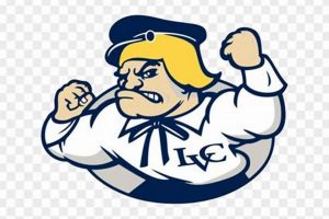 LVC Women's Ice Hockey: Collegiate Powerhouse! | Your Ultimate Source for Hockey Updates, Training Guides, and Equipment Recommendations