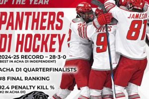 Drury Hockey Roster: Lineup &amp; More for the Season | Your Ultimate Source for Hockey Updates, Training Guides, and Equipment Recommendations