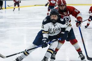 Faith & Ice: Holy Ghost Ice Hockey - Community & Sport | Your Ultimate Source for Hockey Updates, Training Guides, and Equipment Recommendations