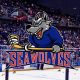 Get Seawolves Hockey Tickets Now! | Deals & Info | Your Ultimate Source for Hockey Updates, Training Guides, and Equipment Recommendations