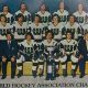 Relive Hartford's Whalers Hockey: History & Legacy | Your Ultimate Source for Hockey Updates, Training Guides, and Equipment Recommendations