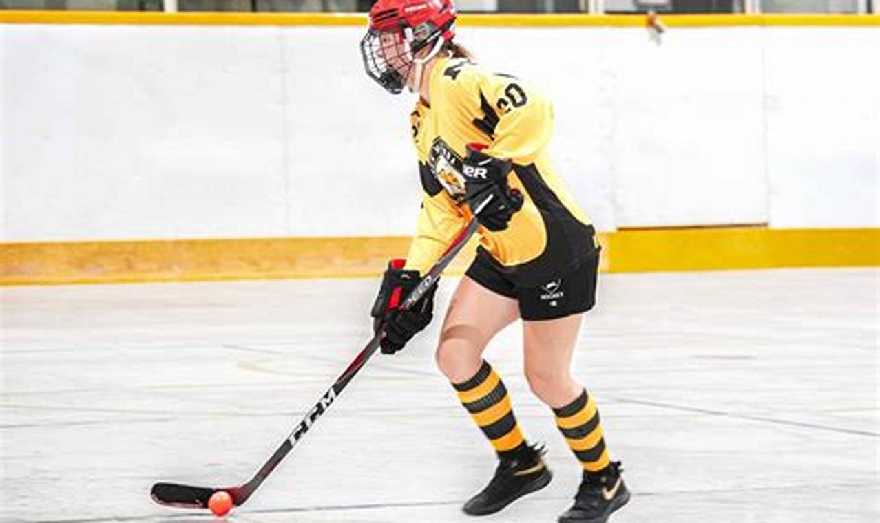 Field Hockey Ball: Master Your Hockey Ball Game | Your Ultimate Source for Hockey Updates, Training Guides, and Equipment Recommendations