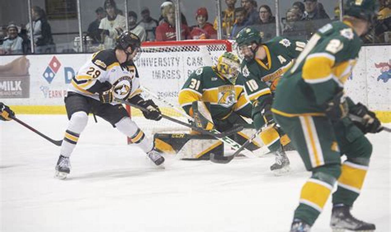NMU Hockey Score: Live Updates & Wildcats Results | Your Ultimate Source for Hockey Updates, Training Guides, and Equipment Recommendations