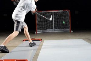 Train Like a Pro: Practice Ice Hockey at Home Today! | Your Ultimate Source for Hockey Updates, Training Guides, and Equipment Recommendations