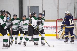 Discover Stevenson University Women's Ice Hockey Team! | Your Ultimate Source for Hockey Updates, Training Guides, and Equipment Recommendations