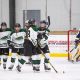 Discover Stevenson University Women's Ice Hockey Team! | Your Ultimate Source for Hockey Updates, Training Guides, and Equipment Recommendations