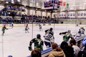 Buy Geneseo Hockey Tickets Online - Seats &amp; More! | Your Ultimate Source for Hockey Updates, Training Guides, and Equipment Recommendations