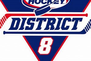District 8 Hockey: Your Youth Hockey Guide | Your Ultimate Source for Hockey Updates, Training Guides, and Equipment Recommendations