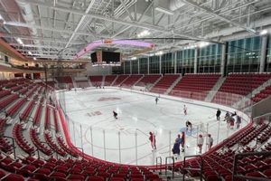 Sacred Heart Women's Hockey: Pioneers on Ice! | Your Ultimate Source for Hockey Updates, Training Guides, and Equipment Recommendations