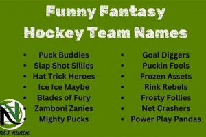 Top Funniest Fantasy Hockey Team Names: Scores & More! | Your Ultimate Source for Hockey Updates, Training Guides, and Equipment Recommendations