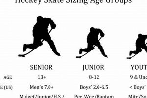 Youth Ice Hockey Age Groups: Guide & Divisions Your Ultimate Source for Hockey Updates, Training Guides, and Equipment Recommendations Youth Ice Hockey Age Groups: Guide & Divisions | Your Ultimate Source for Hockey Updates, Training Guides, and Equipment Recommendations
