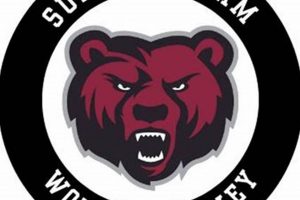 Potsdam Women's Hockey: The Powerhouse Team Your Ultimate Source for Hockey Updates, Training Guides, and Equipment Recommendations Potsdam Women's Hockey: The Powerhouse Team | Your Ultimate Source for Hockey Updates, Training Guides, and Equipment Recommendations