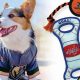 Shop Hockey Dog Toys: Pucks, Sticks & More Fun! | Your Ultimate Source for Hockey Updates, Training Guides, and Equipment Recommendations