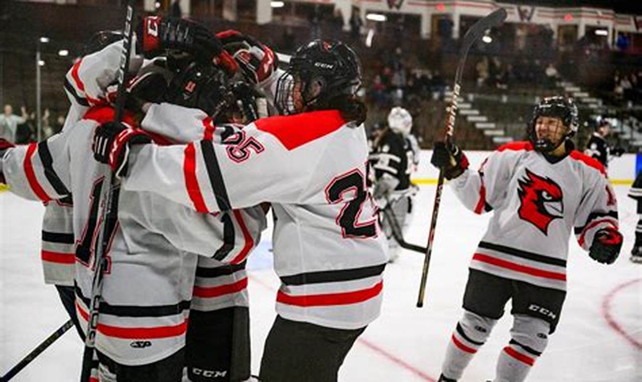 NESCAC Hockey Standings: League Results & Playoff Picture Your Ultimate Source for Hockey Updates, Training Guides, and Equipment Recommendations NESCAC Hockey Standings: League Results & Playoff Picture | Your Ultimate Source for Hockey Updates, Training Guides, and Equipment Recommendations