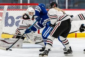 2024 Hamline Women's Hockey Roster: Players & Stats | Your Ultimate Source for Hockey Updates, Training Guides, and Equipment Recommendations