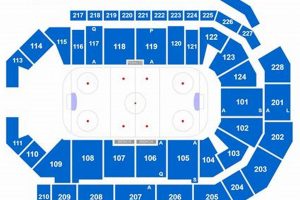 Your EGF Hockey Arena Schedule + Events, Updates | Your Ultimate Source for Hockey Updates, Training Guides, and Equipment Recommendations