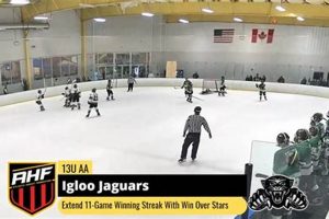 The Cool Igloo Jaguars Ice Hockey Team - [City Name] Champs! | Your Ultimate Source for Hockey Updates, Training Guides, and Equipment Recommendations