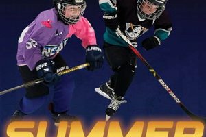 Dominate Hockey Summer: Training Tips & Drills Your Ultimate Source for Hockey Updates, Training Guides, and Equipment Recommendations Dominate Hockey Summer: Training Tips & Drills | Your Ultimate Source for Hockey Updates, Training Guides, and Equipment Recommendations