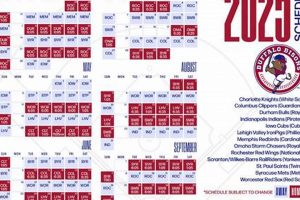 Your Bisons Hockey Schedule + Game Times & Info | Your Ultimate Source for Hockey Updates, Training Guides, and Equipment Recommendations