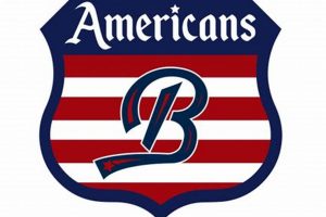 Boston Americans Hockey: History & Legacy of Early NHL Era Your Ultimate Source for Hockey Updates, Training Guides, and Equipment Recommendations Boston Americans Hockey: History & Legacy of Early NHL Era | Your Ultimate Source for Hockey Updates, Training Guides, and Equipment Recommendations