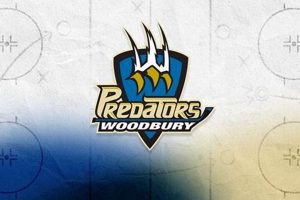 Woodbury Hockey MN: Guide &amp; Teams in Woodbury, MN | Your Ultimate Source for Hockey Updates, Training Guides, and Equipment Recommendations