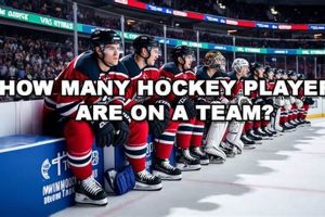 Ice Hockey Team: How Many Players & Roles? Your Ultimate Source for Hockey Updates, Training Guides, and Equipment Recommendations Ice Hockey Team: How Many Players & Roles? | Your Ultimate Source for Hockey Updates, Training Guides, and Equipment Recommendations