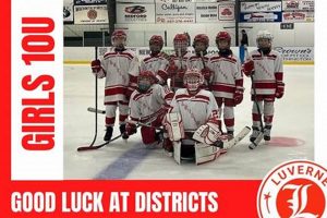 Luverne MN Hockey: Rocks! Local Ice Stars Your Ultimate Source for Hockey Updates, Training Guides, and Equipment Recommendations Luverne MN Hockey: Rocks! Local Ice Stars | Your Ultimate Source for Hockey Updates, Training Guides, and Equipment Recommendations
