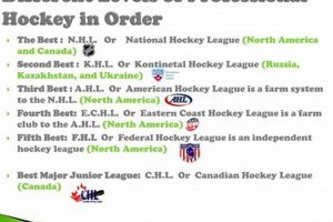 Exploring the Pro Hockey Levels: A Tiered System Your Ultimate Source for Hockey Updates, Training Guides, and Equipment Recommendations Exploring the Pro Hockey Levels: A Tiered System | Your Ultimate Source for Hockey Updates, Training Guides, and Equipment Recommendations