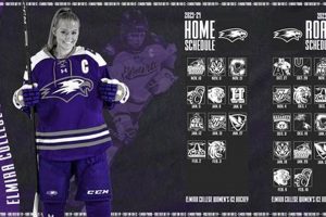Score! Elmira Women's Hockey Schedule + Results Your Ultimate Source for Hockey Updates, Training Guides, and Equipment Recommendations Score! Elmira Women's Hockey Schedule + Results | Your Ultimate Source for Hockey Updates, Training Guides, and Equipment Recommendations