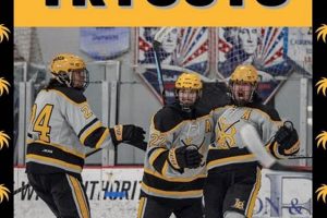 CSULB Ice Hockey: Beach Hockey Action! Your Ultimate Source for Hockey Updates, Training Guides, and Equipment Recommendations CSULB Ice Hockey: Beach Hockey Action! | Your Ultimate Source for Hockey Updates, Training Guides, and Equipment Recommendations
