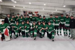 Michigan MDHL Hockey: Teams, Scores & Development | Your Ultimate Source for Hockey Updates, Training Guides, and Equipment Recommendations