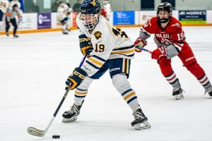 Your Guide: Wayzata MN Hockey Scene & Programs Your Ultimate Source for Hockey Updates, Training Guides, and Equipment Recommendations Your Guide: Wayzata MN Hockey Scene & Programs | Your Ultimate Source for Hockey Updates, Training Guides, and Equipment Recommendations