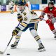 Your Guide: Wayzata MN Hockey Scene & Programs | Your Ultimate Source for Hockey Updates, Training Guides, and Equipment Recommendations