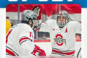 Find NCAA Ice Hockey Jobs: Your Dream College Hockey Career | Your Ultimate Source for Hockey Updates, Training Guides, and Equipment Recommendations