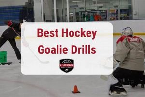 Pro Ice Hockey Goalie Drills: Training to Win Your Ultimate Source for Hockey Updates, Training Guides, and Equipment Recommendations Pro Ice Hockey Goalie Drills: Training to Win | Your Ultimate Source for Hockey Updates, Training Guides, and Equipment Recommendations