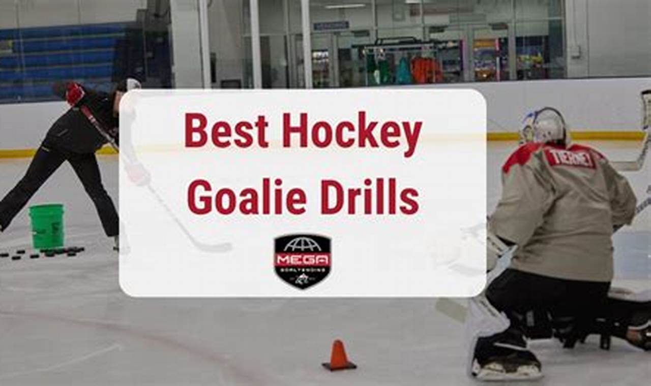 Pro Ice Hockey Goalie Drills: Training to Win Your Ultimate Source for Hockey Updates, Training Guides, and Equipment Recommendations Pro Ice Hockey Goalie Drills: Training to Win | Your Ultimate Source for Hockey Updates, Training Guides, and Equipment Recommendations