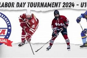 NAHA Hockey Tournament: Youth Ice Hockey's Top Event | Your Ultimate Source for Hockey Updates, Training Guides, and Equipment Recommendations