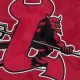 Reliving Lowell Devils Hockey: Past NHL Prospects & More | Your Ultimate Source for Hockey Updates, Training Guides, and Equipment Recommendations