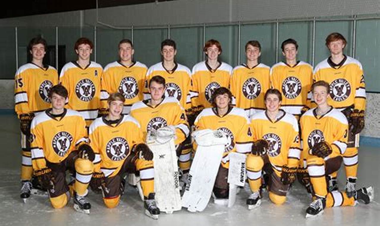 Apple Valley Youth Hockey: Your Young Athlete's Start! | Your Ultimate Source for Hockey Updates, Training Guides, and Equipment Recommendations