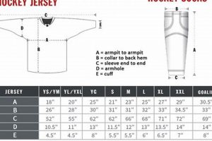 Find Your Perfect Fit: Ice Hockey Size Chart Guide | Your Ultimate Source for Hockey Updates, Training Guides, and Equipment Recommendations
