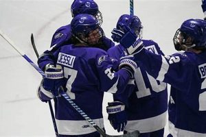 Niagara Hockey Roster: Find Players + Team List | Your Ultimate Source for Hockey Updates, Training Guides, and Equipment Recommendations