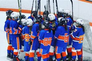 Tri City Eagles Ice Hockey: [City] Pride on Ice! | Your Ultimate Source for Hockey Updates, Training Guides, and Equipment Recommendations