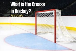 Mastering the Crease: Ice Hockey's Hot Zone | Your Ultimate Source for Hockey Updates, Training Guides, and Equipment Recommendations