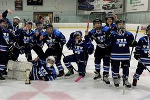 Find CHE Hockey Tournaments Near You: Dates & Locations | Your Ultimate Source for Hockey Updates, Training Guides, and Equipment Recommendations