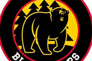 Developing Jr. Black Bears Hockey: Skills &amp; Success | Your Ultimate Source for Hockey Updates, Training Guides, and Equipment Recommendations