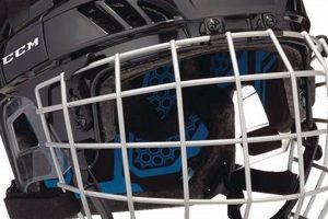 Best Cage Hockey Helmet: Safety & Style | Your Ultimate Source for Hockey Updates, Training Guides, and Equipment Recommendations