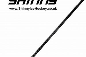 Beginner's Shinny Sticks Hockey: Gear & Rules Guide | Your Ultimate Source for Hockey Updates, Training Guides, and Equipment Recommendations